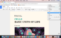 Thumbnail for version as of 01:41, 2 July 2017