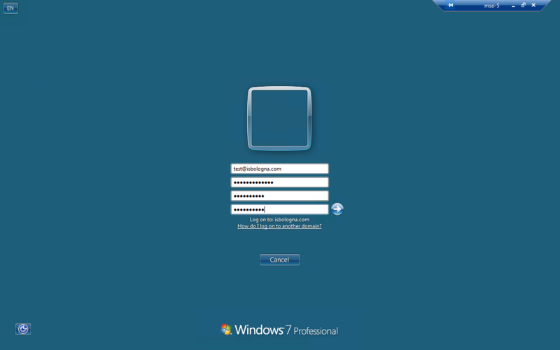 File:Win11.png