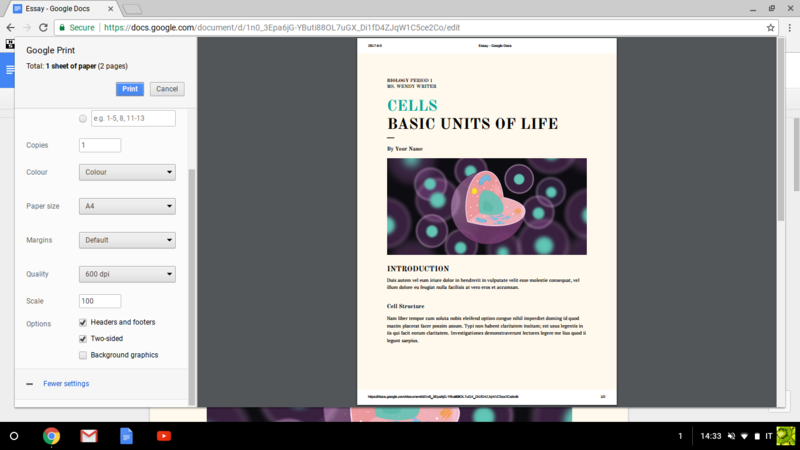 File:Chrome6.png